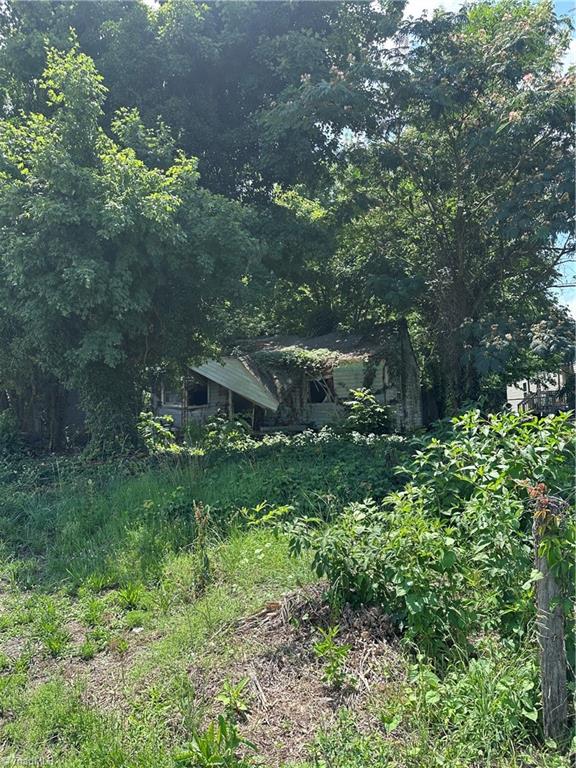 499 Leonard Road, Lexington, NC, 27295