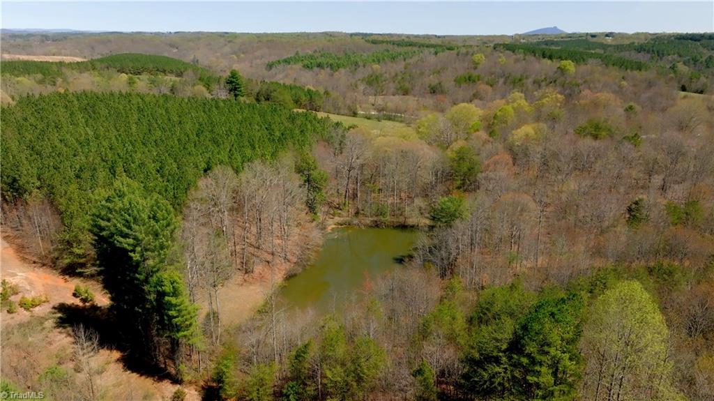 311 Phillips Road, Dobson, North Carolina image 50
