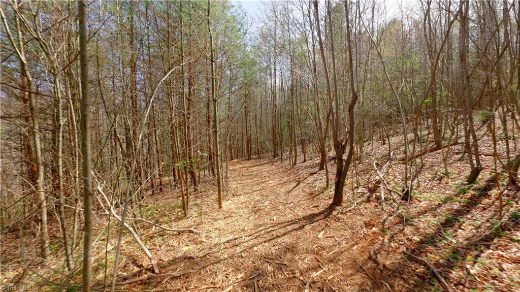 311 Phillips Road, Dobson, North Carolina image 42