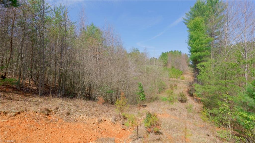 311 Phillips Road, Dobson, North Carolina image 39