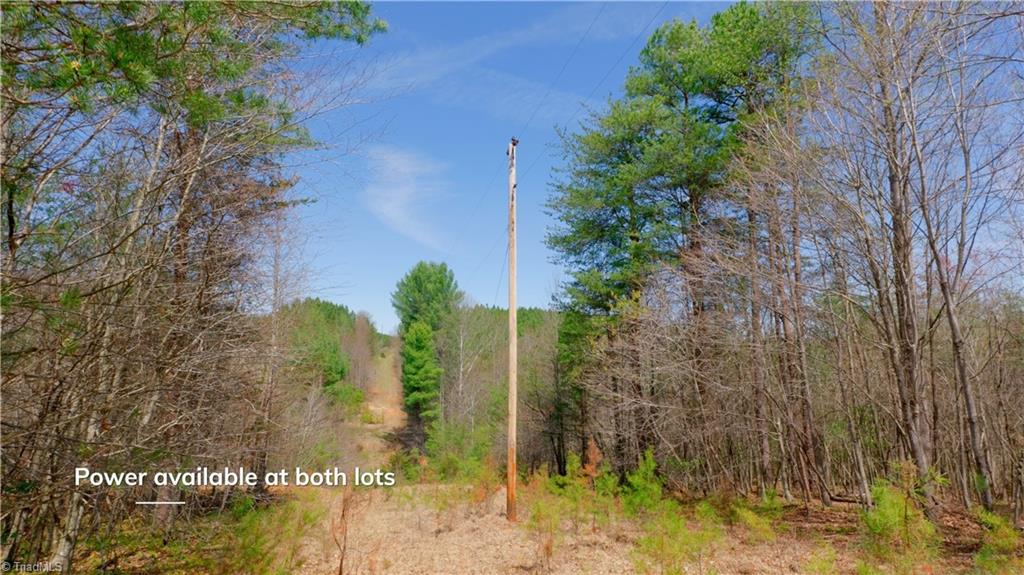 311 Phillips Road, Dobson, North Carolina image 38