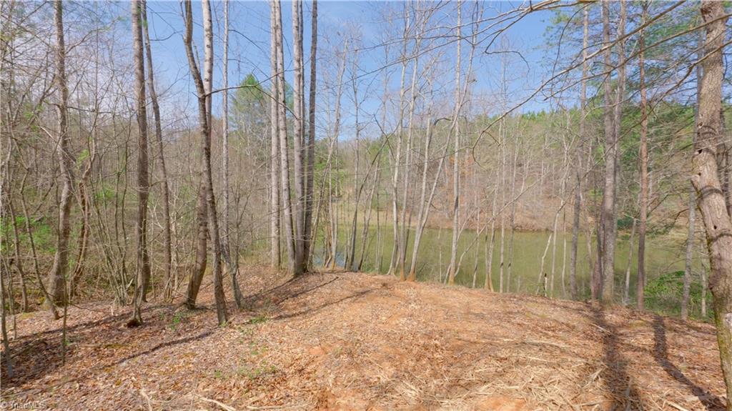 311 Phillips Road, Dobson, North Carolina image 41