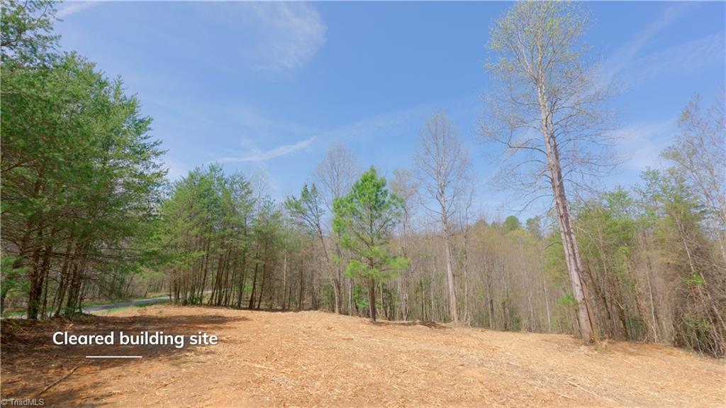 311 Phillips Road, Dobson, North Carolina image 36