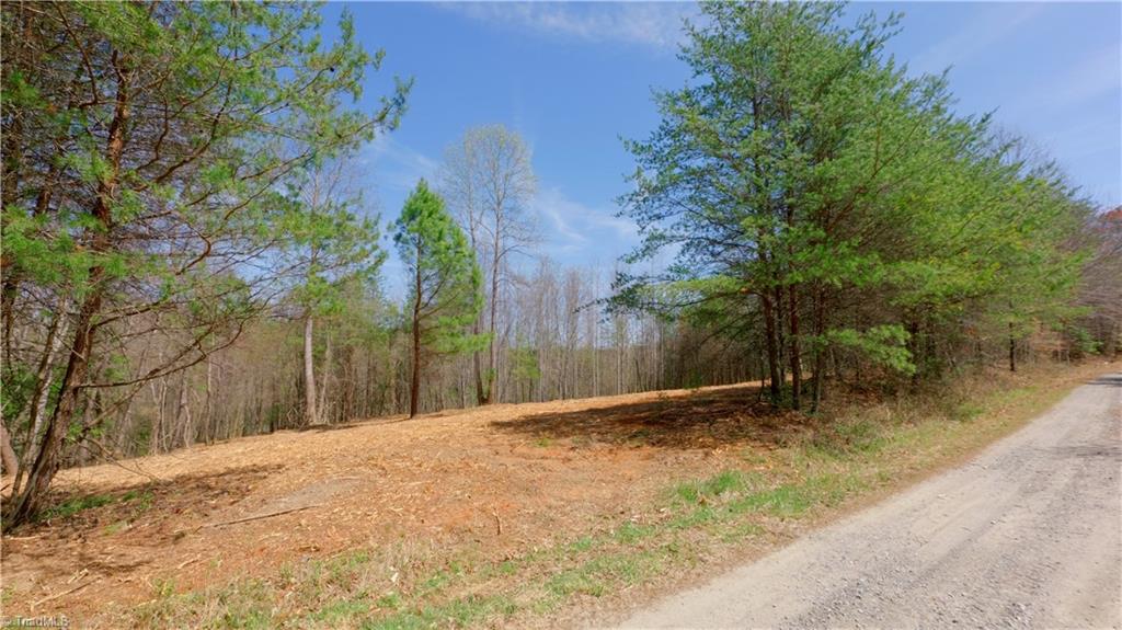311 Phillips Road, Dobson, North Carolina image 35