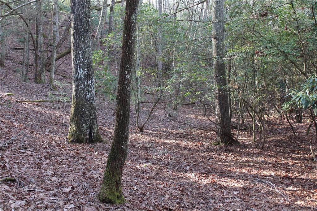 400 Mitchells Bend Trail, State Road, North Carolina image 2