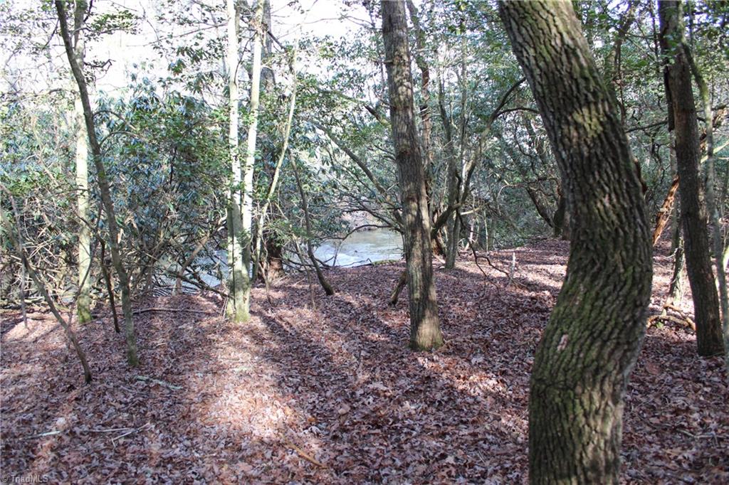 400 Mitchells Bend Trail, State Road, North Carolina image 4