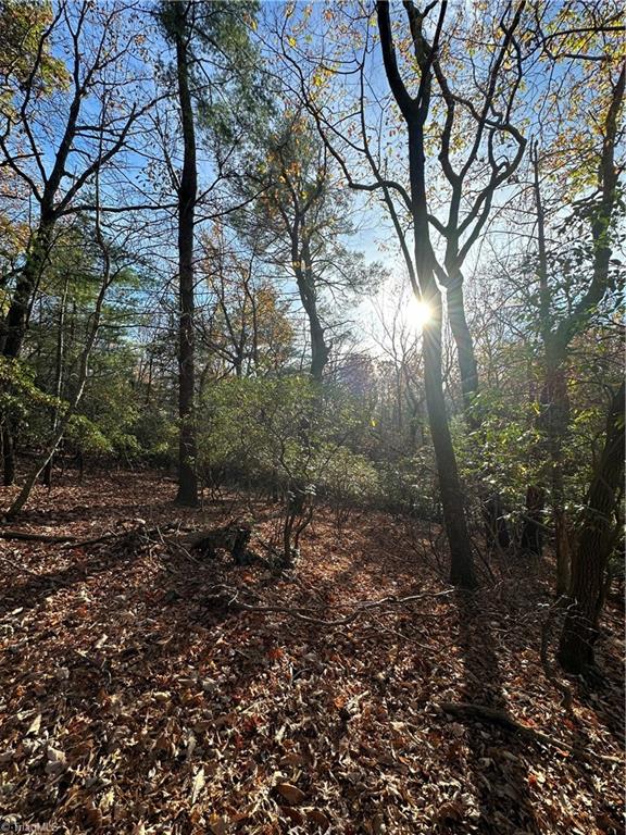 TBD Courtland Lane, Lowgap, North Carolina image 18