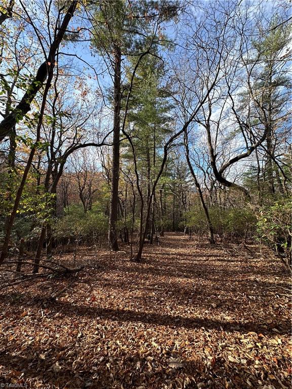 TBD Courtland Lane, Lowgap, North Carolina image 16