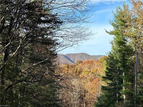 Vacant Land For Sale - TBD Courtland Lane<br/> Lowgap, NC 27024