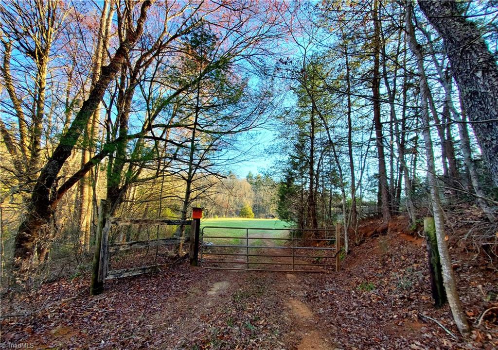 1373 Fisher Valley Road, Dobson, North Carolina image 1