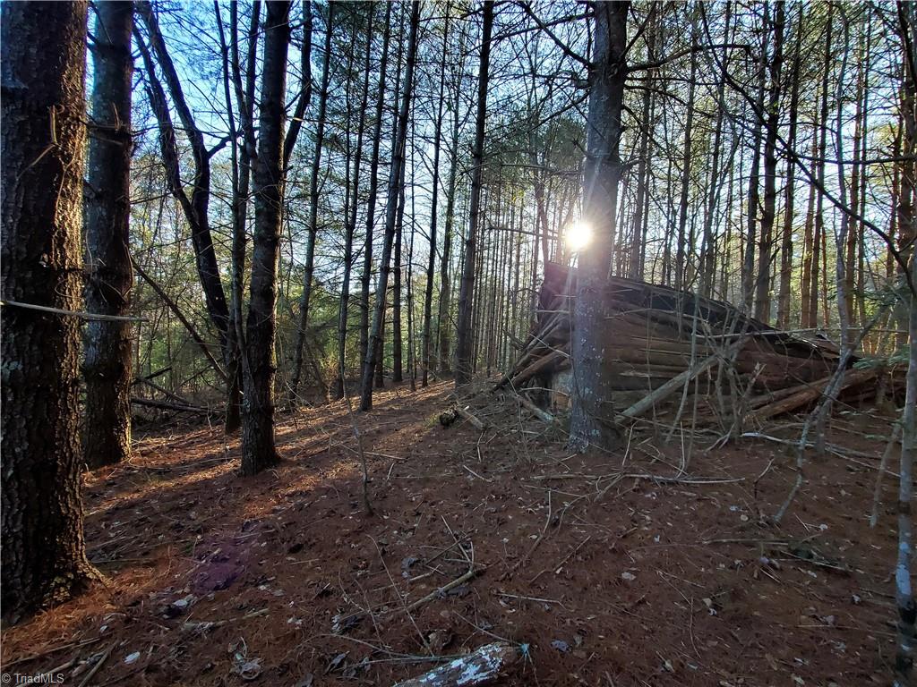 1373 Fisher Valley Road, Dobson, North Carolina image 24