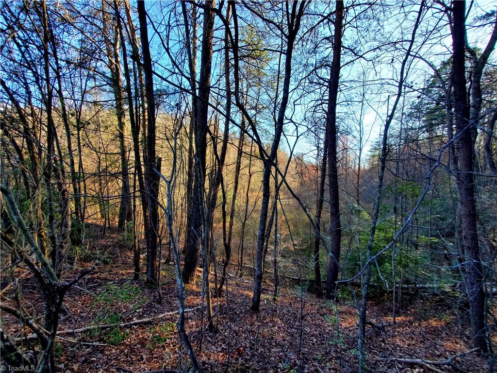 1373 Fisher Valley Road, Dobson, North Carolina image 26