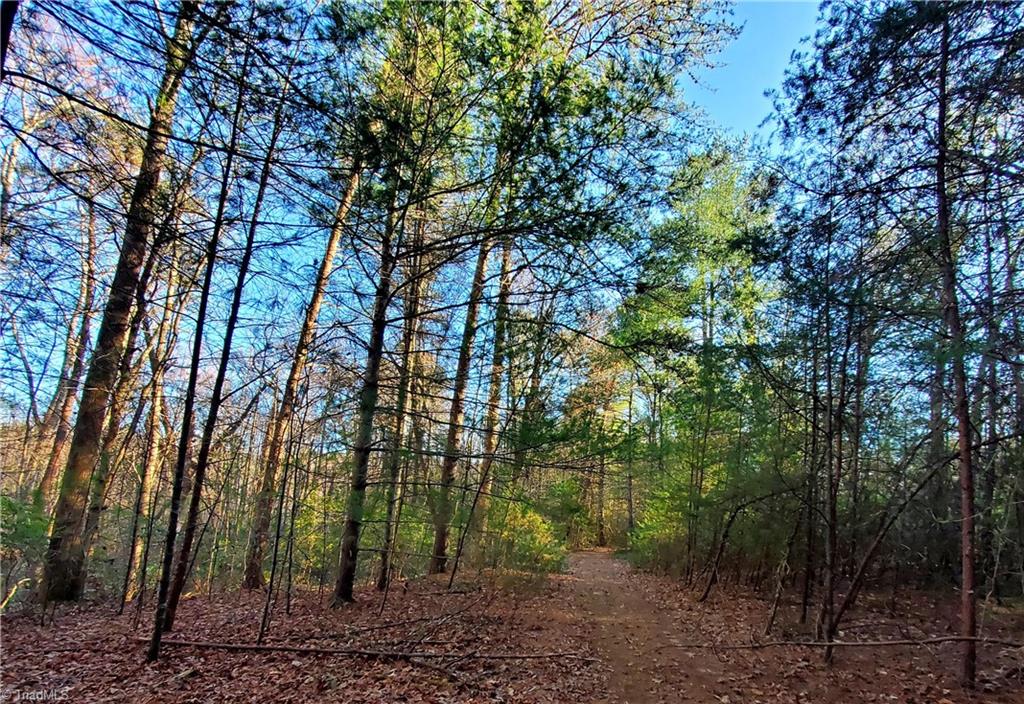 1373 Fisher Valley Road, Dobson, North Carolina image 17