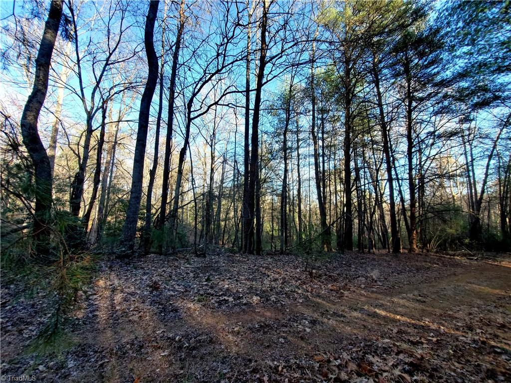 1373 Fisher Valley Road, Dobson, North Carolina image 21