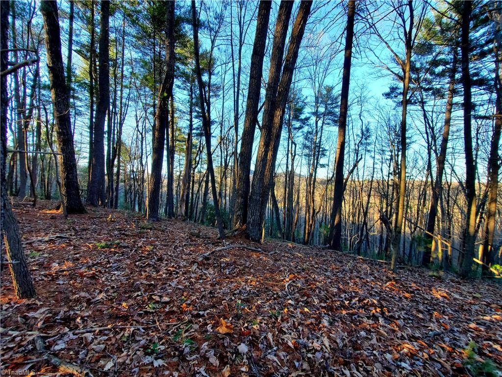 1373 Fisher Valley Road, Dobson, North Carolina image 40