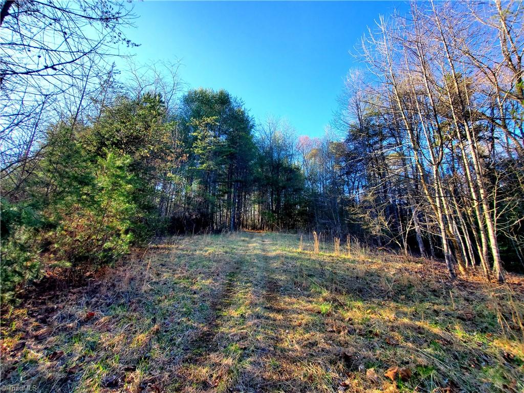 1373 Fisher Valley Road, Dobson, North Carolina image 25