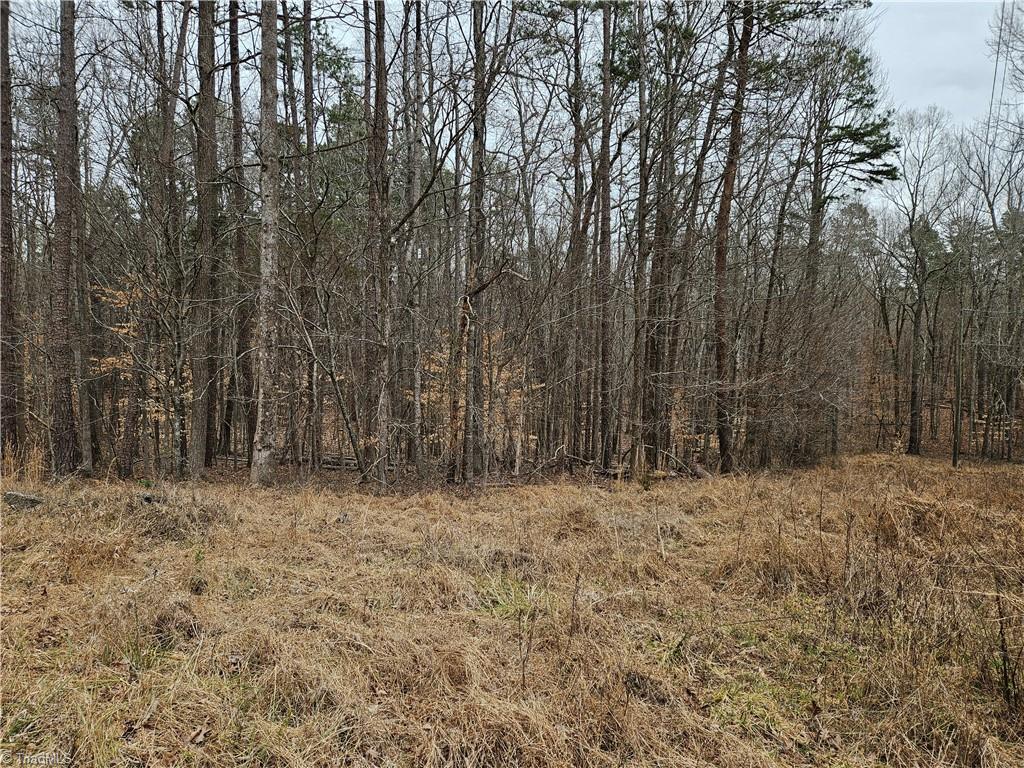 599 Rockhurst Drive, Gibsonville, North Carolina image 7
