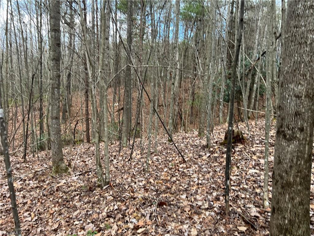 000000 Fisher Valley Road, Dobson, North Carolina image 1