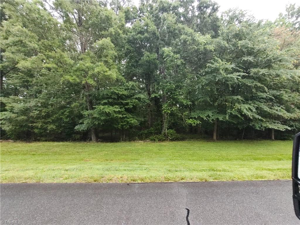 335 Healing Springs Drive, Denton, North Carolina image 2