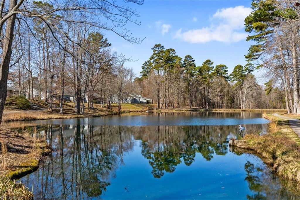 2601 Spring Bridge Circle, Greensboro, North Carolina image 3