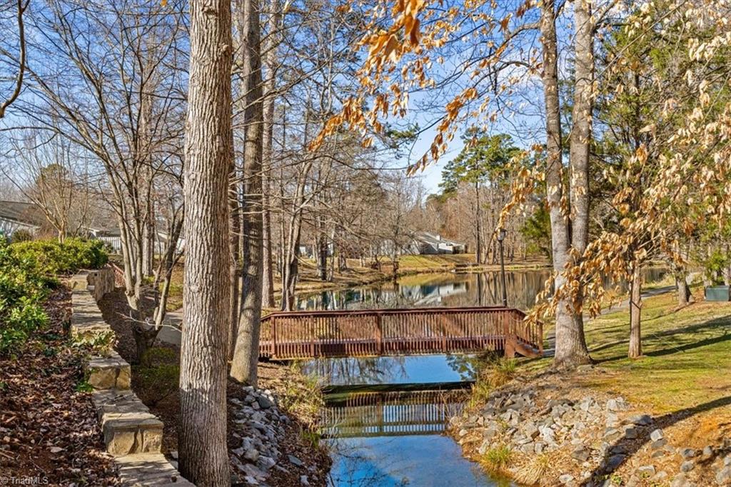 2601 Spring Bridge Circle, Greensboro, North Carolina image 34