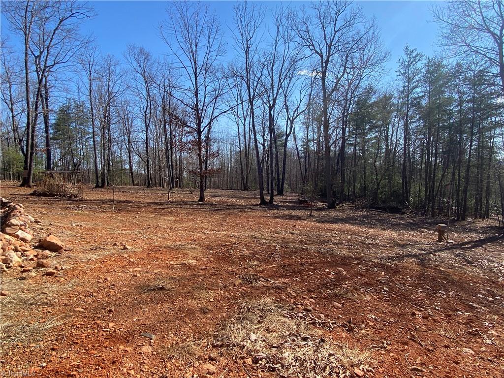 136 White Rock Road, Thurmond, North Carolina image 45