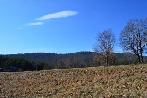 Vacant Land For Sale - TRACT G Hanging Rock Forest Road #G<br/> Danbury, NC 27016