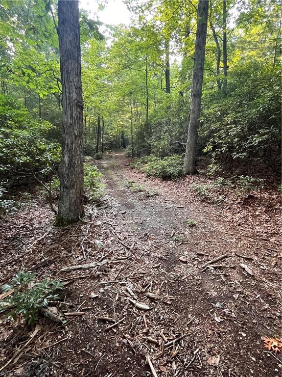 TBD Carson Creek Road, Lowgap, North Carolina image 6