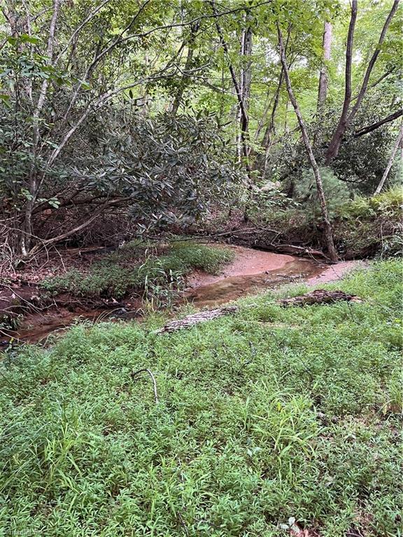 TBD Carson Creek Road, Lowgap, North Carolina image 3