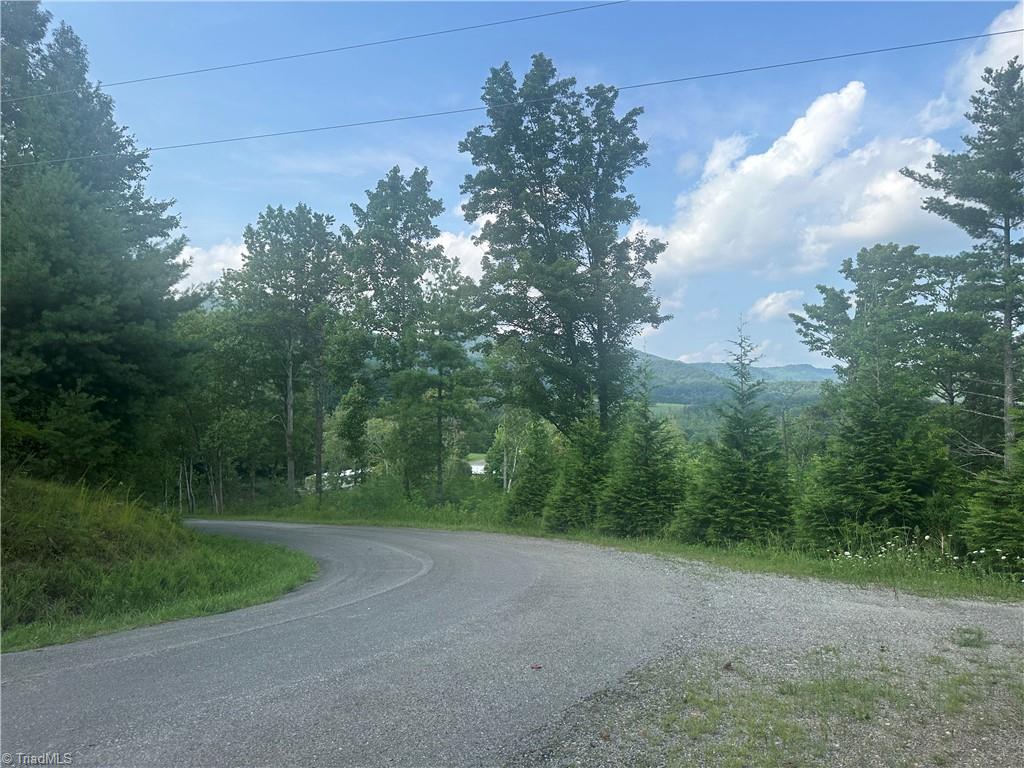 TBD Carson Creek Road, Lowgap, North Carolina image 27