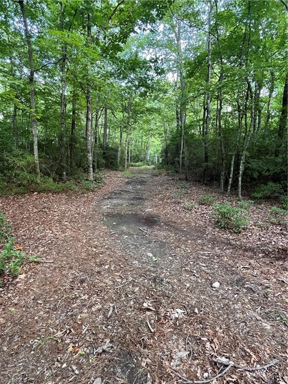 TBD Carson Creek Road, Lowgap, North Carolina image 9