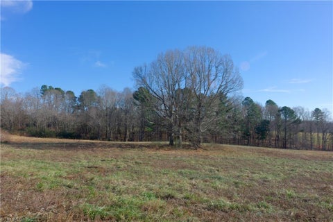 Vacant Land For Sale - 5 Earl Trail<br/> Julian, NC 27283