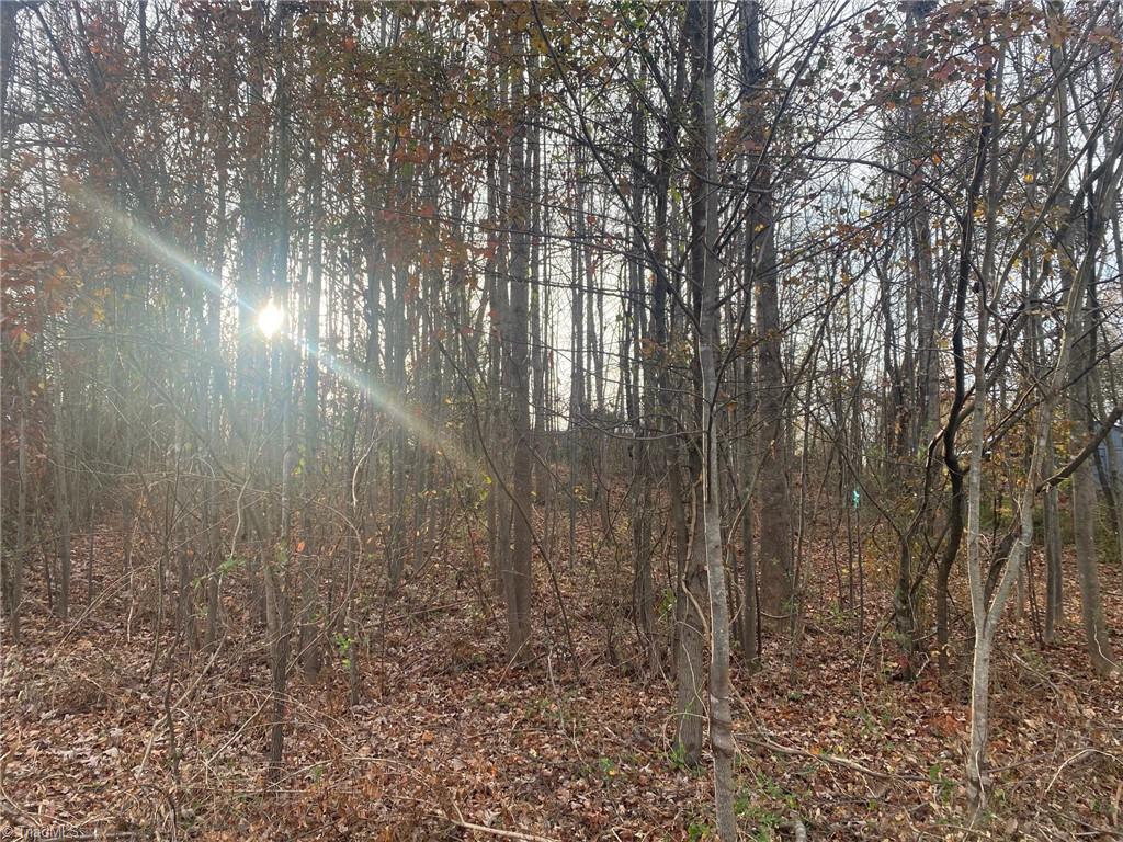 000 Meadow Lane Road