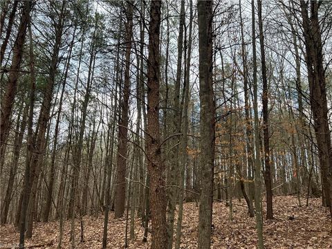 Vacant Land For Sale - LOT 14 Fisher Valley Road<br/> Dobson, NC 27017