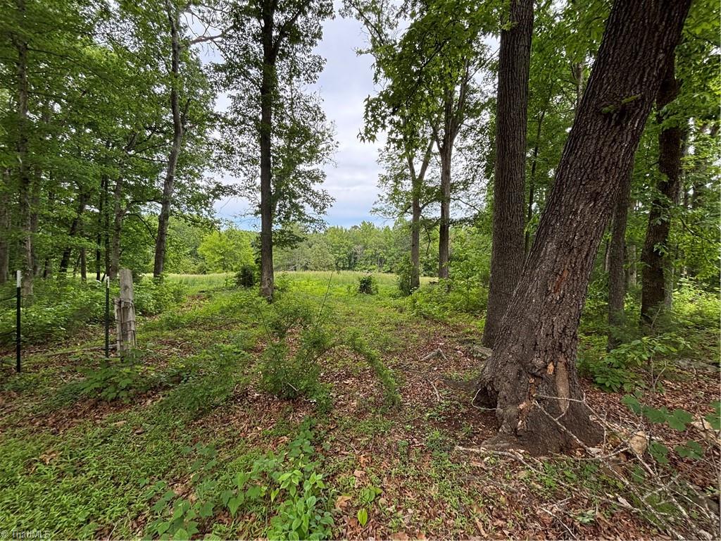 196 Byerly Drive, Thomasville, North Carolina image 2