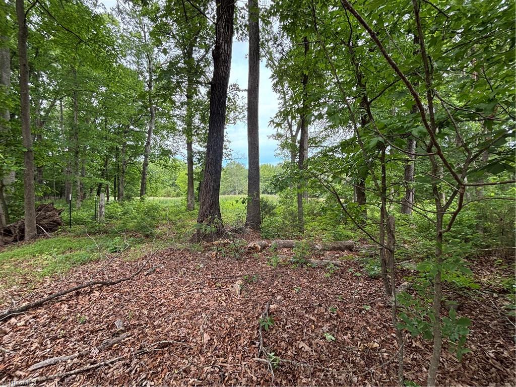 196 Byerly Drive, Thomasville, North Carolina image 1