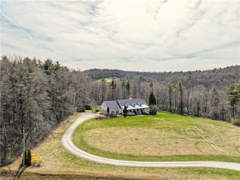 A home in Meadows of Dan