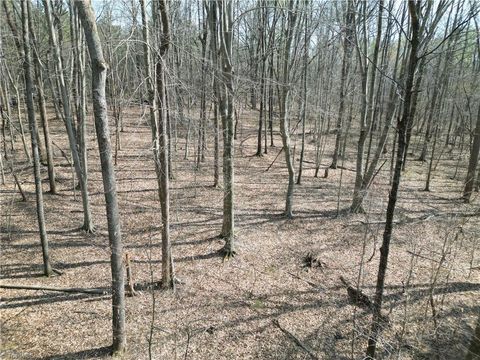 Vacant Land For Sale - 0000 Tilden Nursery Road<br/> Lexington, NC 27295