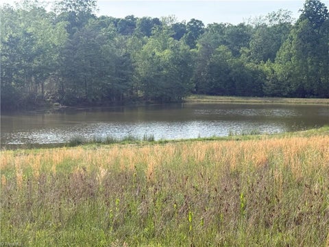 Vacant Land For Sale - 00 Amostown Road<br/> Sandy Ridge, NC 27046