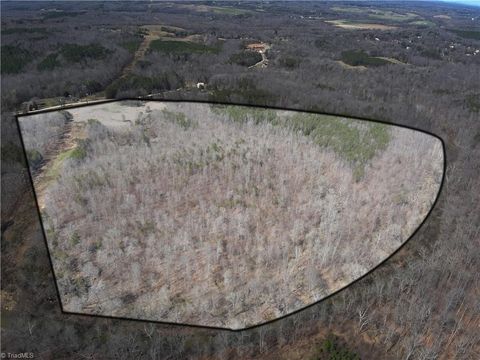 Vacant Land For Sale - Doll Branch Road<br/> Caswell County, Milton, NC 27305