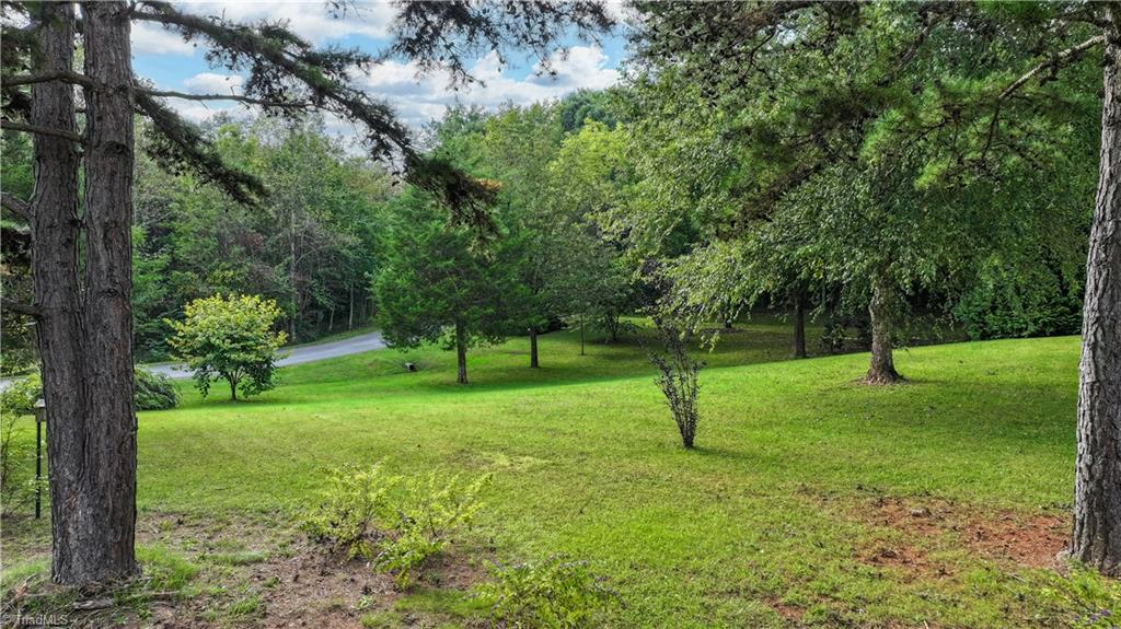 1002 Curtis Lane, Pilot Mountain, North Carolina image 33