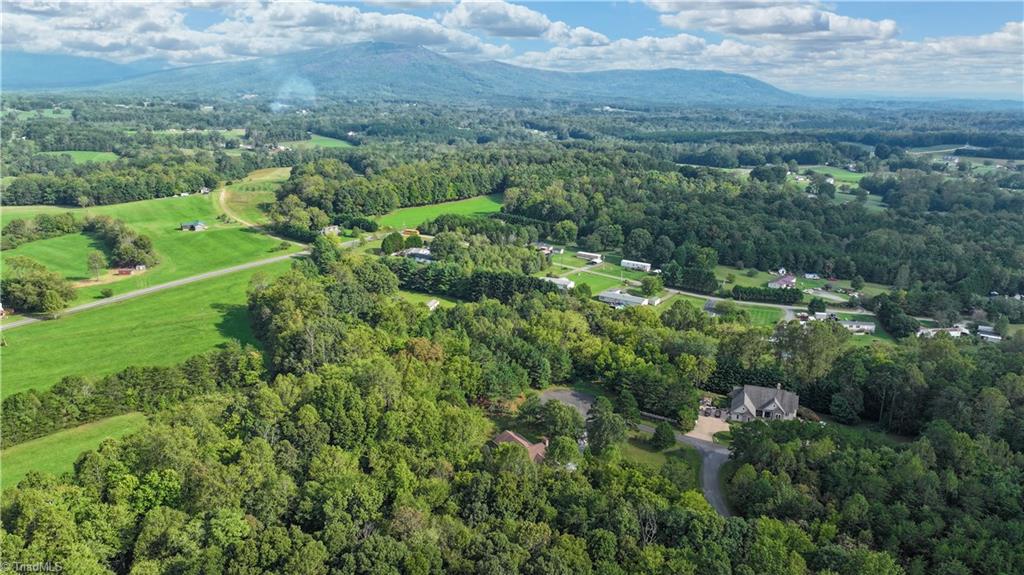 1002 Curtis Lane, Pilot Mountain, North Carolina image 37