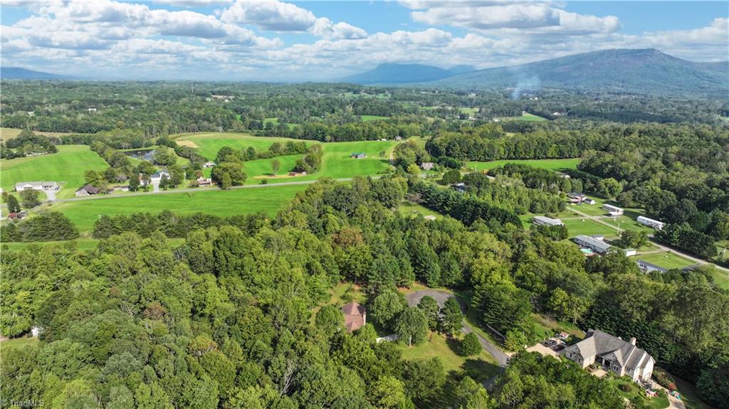 1002 Curtis Lane, Pilot Mountain, North Carolina image 38