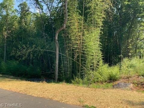Vacant Land For Sale - 7548 Whisper Hollow Lane<br/> Forsyth County, Lewisville, NC 27023