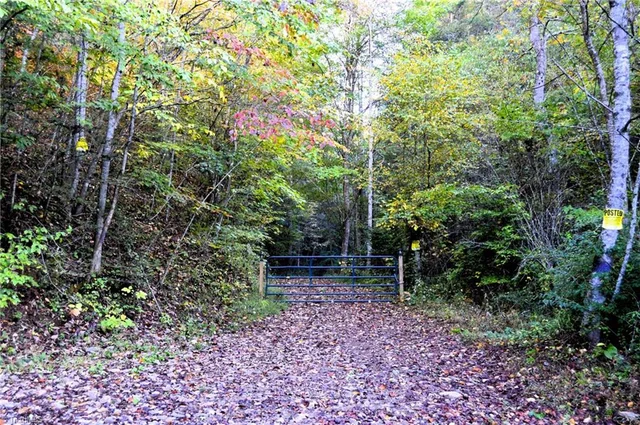 1005-1015 Darnell Creek Road, photo 3 of 36