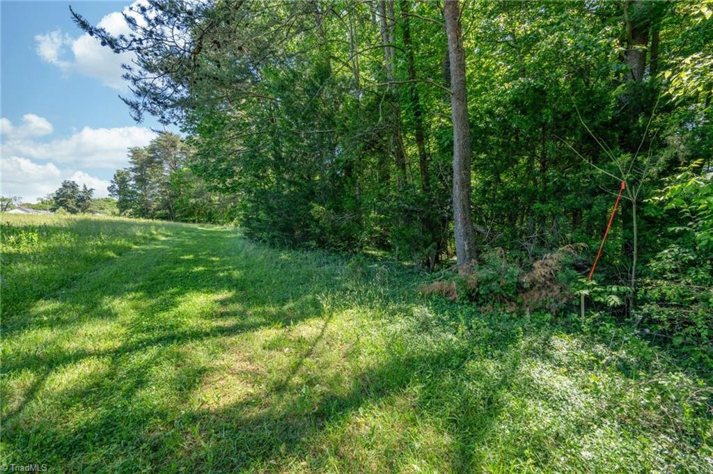 Twin Cedars Road, Yadkinville, North Carolina image 18