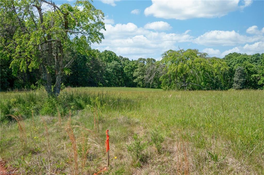 Twin Cedars Road, Yadkinville, North Carolina image 12