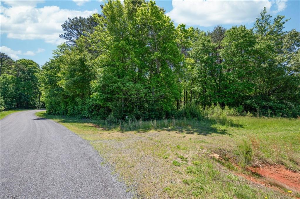 Twin Cedars Road, Yadkinville, North Carolina image 21