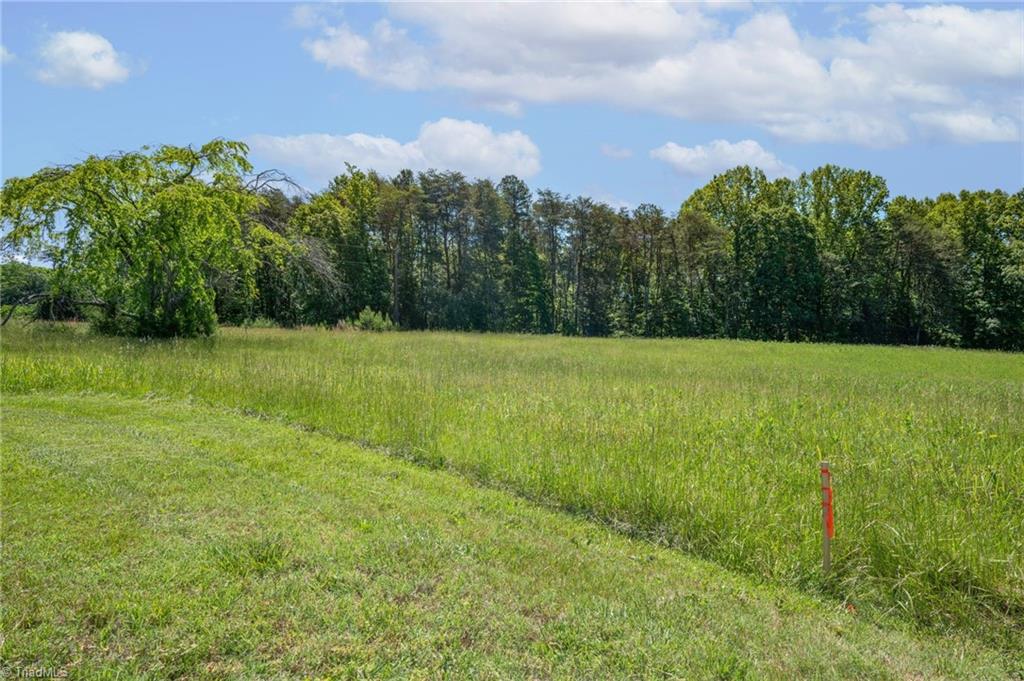 Twin Cedars Road, Yadkinville, North Carolina image 9