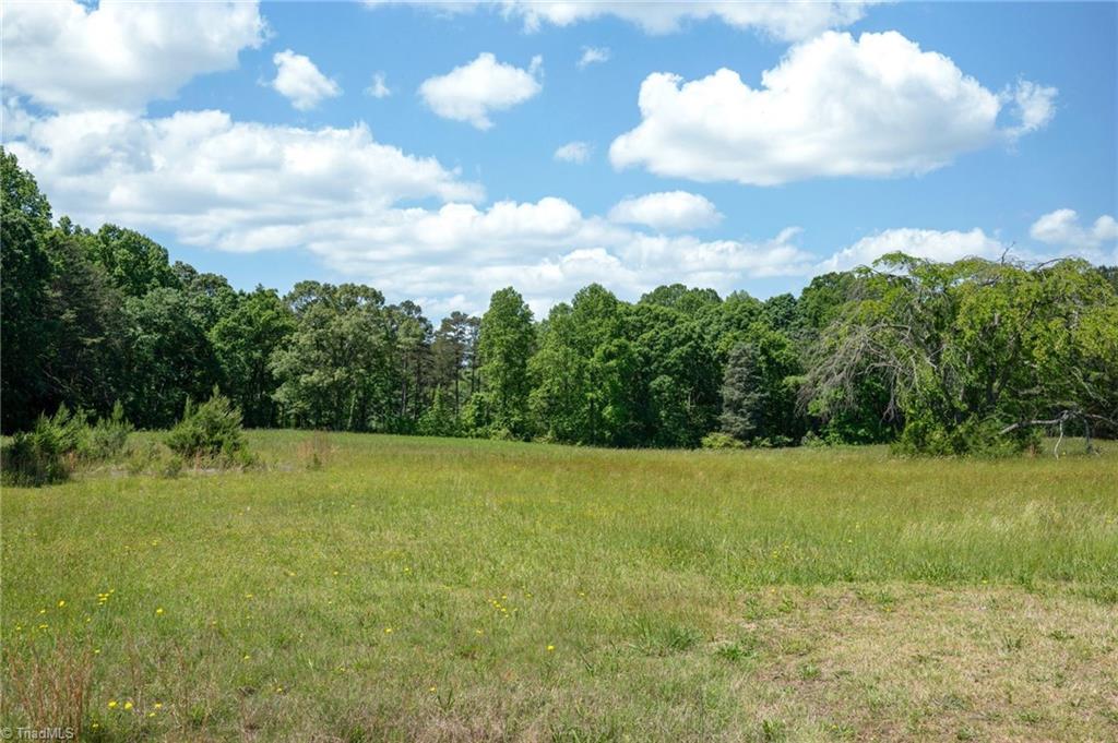 Twin Cedars Road, Yadkinville, North Carolina image 27